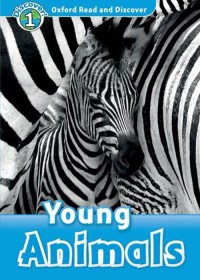 Young Animals