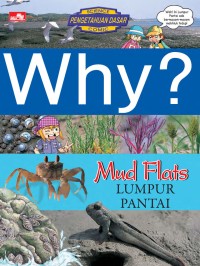 Why? Mud Flats: Lumpur Pantai
