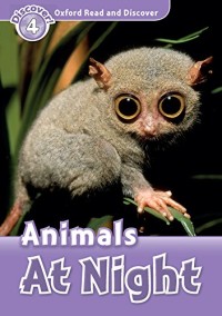 Animals At Night