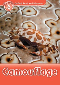Camouflage