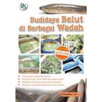 Budidaya Belut di Berbagai Wadah