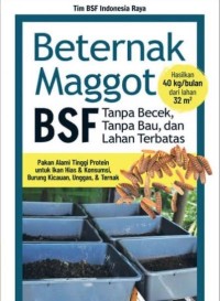 Beternak Maggot BSF: tanpa Becek, tanpa bau, dan Lahan Terbatas
