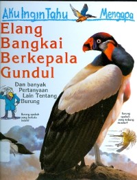 Aku Ingin Tahu Mengapa: Elang Bangkai Berkepala Gundul