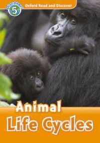 Animal Life Cycles